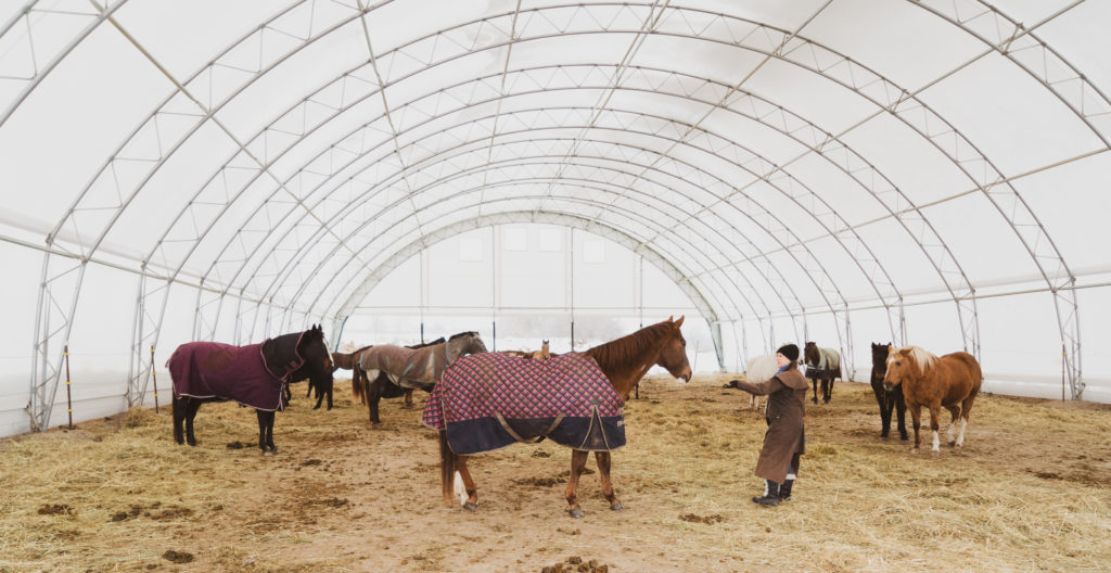 Equine Assisted Psychotherapy